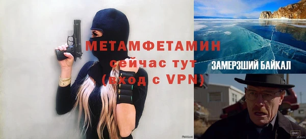 трава Аркадак