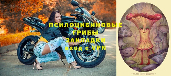 эйфоретик Арсеньев
