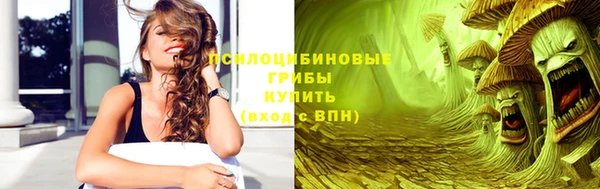 трава Аркадак