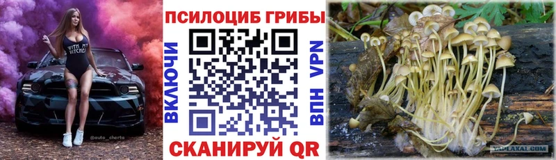 Псилоцибиновые грибы мицелий Чапаевск