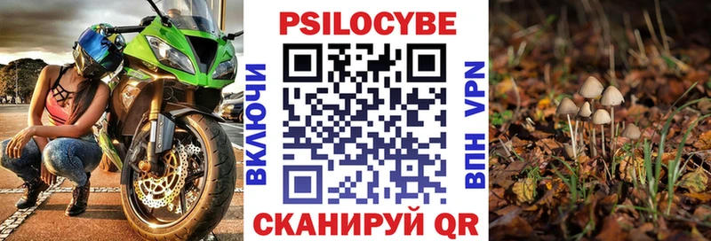 OMG рабочий сайт Чапаевск Галлюциногенные грибы Cubensis